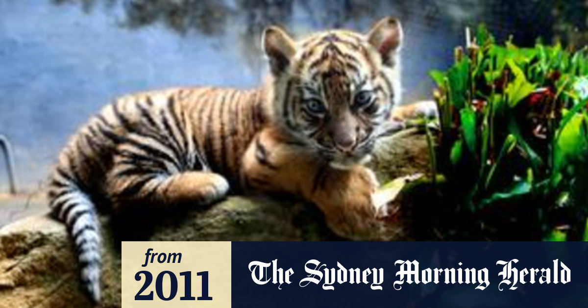 Photos of the week October 28th, 2011